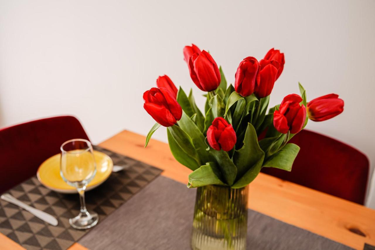 City Apartment Dorobantilor Клуж-Напока Екстериор снимка